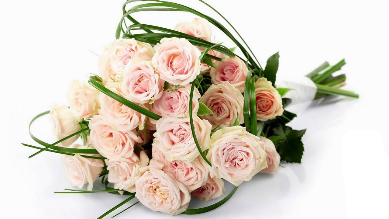 Какие цветы дарят зимой на свадьбу. какие цветы дарят мужчинам, женщинам и на свадьбу