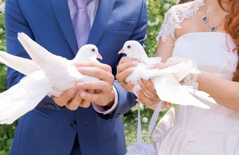 Свадебные приметы и суеверия для жениха
