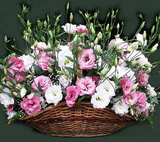Какие цветы дарить на свадьбу – советы флористов