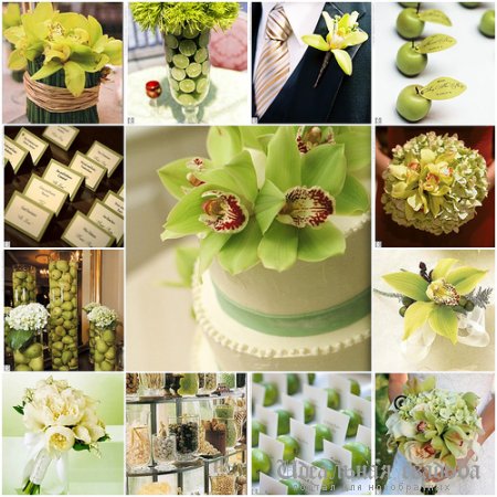 Букеты невесты с зелеными цветами. фото обзор