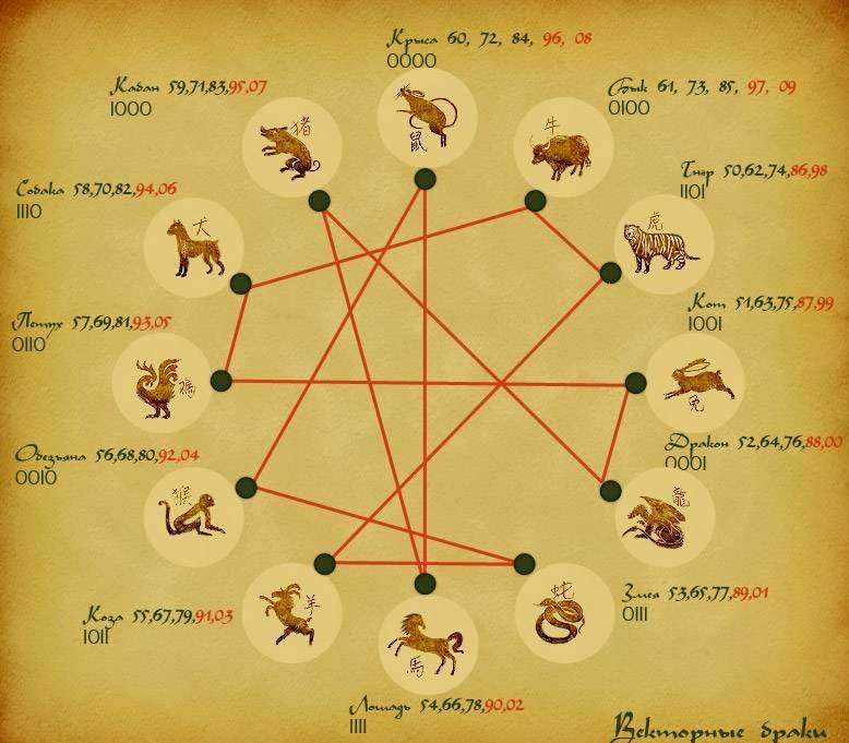 Кваша: векторные отношения между мужчиной и женщиной по знакам зодиака | астрология