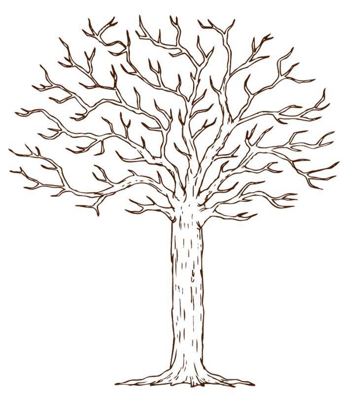 Дерево пожеланий: шаблон